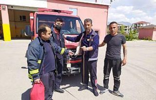 Tırın motor bölümüne giren yılanı itfaiye ekipleri...