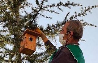 TOKİ konutlarında hayvan sevgisi sınır tanımıyor