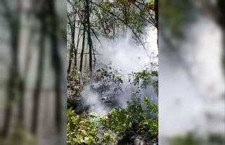 Tunceli’deki örtü yangını kontrol altına alındı