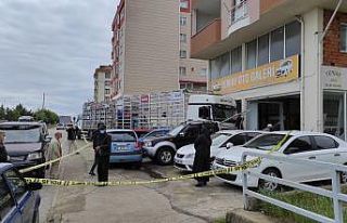 Tüp dolu kamyonet oto galeriye daldı, 7 araç zarar...