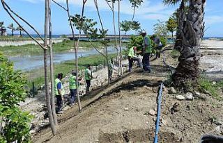 Türkeli’de yeni yürüyüş ve mesire alanları...