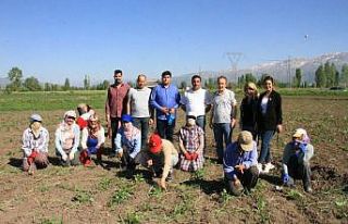 Türkiye Değişim Partisi Genel Başkan Yardımcısı...