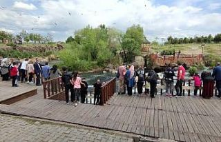 Uçan balıkların muhteşem göçü devam ediyor