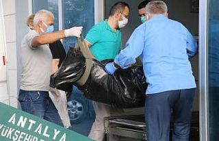 Ukraynalı kadın dağcının cesedine ulaşıldı