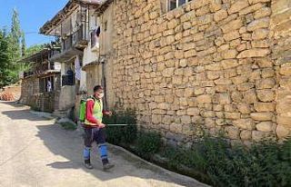 Uludere’de ilaçlama çalışmaları başladı