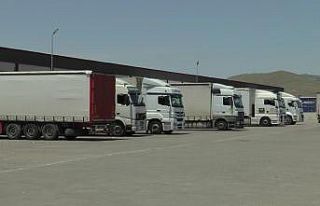Uluslararası nakliyeciler gümrük sorunlarına çözüm...