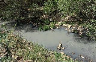Ümmü kızın türküsü de kuraklığa yenildi
