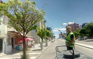 Uşak Belediyesinin çevre çalışmaları devam ediyor