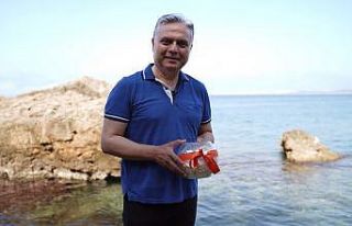 Uysal, Muratpaşalıların dileklerini Akdeniz’le...