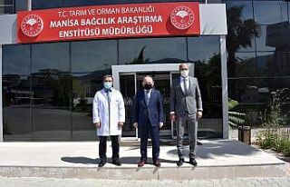 Vali Karadeniz Bağcılık Araştırma Enstitüsü’nde...