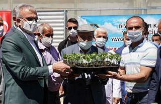 Vali Karaloğlu: "Diyarbakır karpuzu asırlardır...