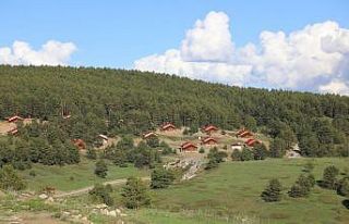 Vali Makas, Dumanlı Tabiat Parkında incelemelerde...