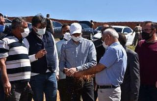 Vali Sezer, kuraklıkta zarar gören hububat ekili...