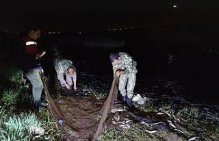 Van Gölü’nde kaçak avlanan 16 bin 200 ton inci...