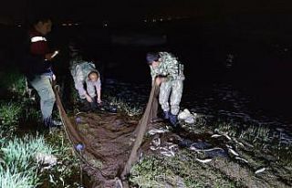 Van Gölü’nde kaçak avlanan 3.5 ton inci kefali...