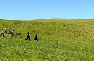 Van’da ’Bal Yuvarlama’ yarışması