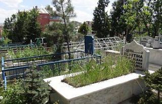 Van’da mezarlıklar boş kaldı