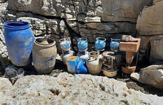 Van’da terör operasyonu