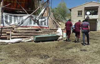 Veteriner hekimler suni tohumlama için seferber oldu