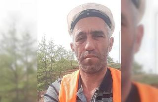 Vinç zincirinin çarptığı operatör hayatını...