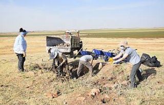 Viranşehir’de ilk arkeolojik kazı çalışması...