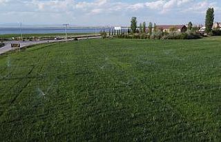 Yağışlar gelmeyince göl havzasında üreticiler...