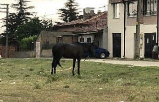 Yağmur altına terk ettiler