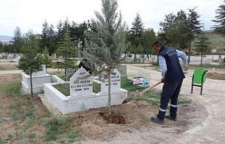 Yahşihan Belediyesi değerlere sahip çıkıyor