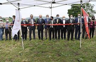 Yalova’da "Mera Islah ve Amenajman Projesi"...