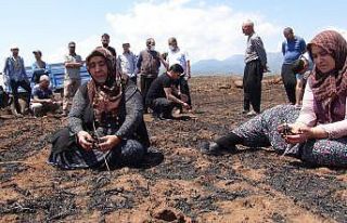 Yangında zarara uğrayan çiftçiler destek istedi