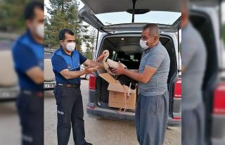 Yaralı leylek hayvanat bahçesine teslim edildi