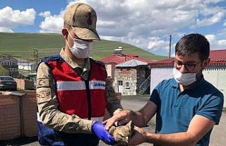 Yaralı Şahin’e jandarma şefkati