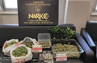 Yasadışı kenevir yetiştiricilerine yönelik operasyon