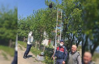 Yaşlı adamın oğul veren arılarını jandarma...