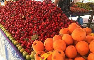 Yazın gözdesi kiraz tezgahlarda yerini aldı
