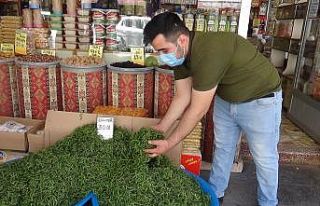 Yeni mahsul kekiğin kilosu 30 TL