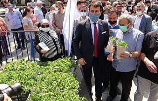 Yerli tohum fideleri toprakla buluşuyor