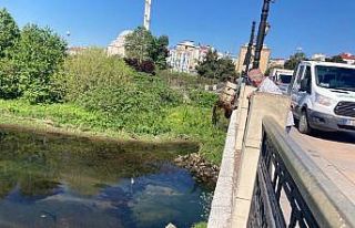 Yeşilırmak’tan koltuk çıktı