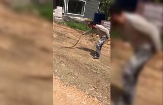 Yolda bulduğu yılanla oyuncak gibi oynadı