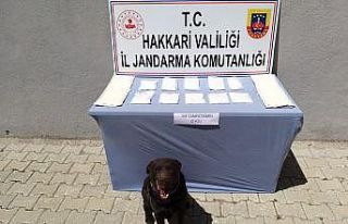 Yüksekova’da 2 kilo metamfetamin ele geçirildi