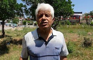 Yumurta bırakmak için geldikleri kıyılarda balıkçı...
