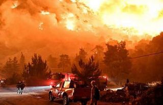 Yunanistan’da korkutan orman yangını