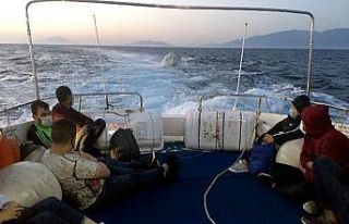 Yunanlılar 8 düzensiz göçmeni ölüme terk etti