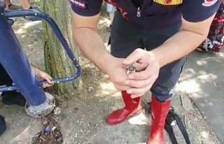 Yuvada sıkışan yavru kuşların yardımına itfaiye...