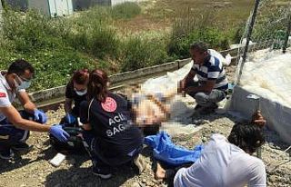 Yüzmek için girdiği muz serasının havuzunda boğuldu