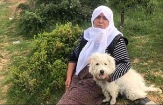 Zincirleme kazada duygusal anlar yaşandı