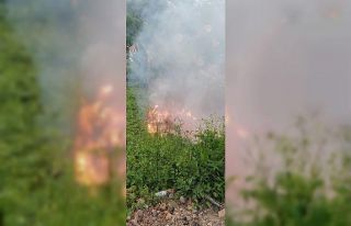 Zonguldak’ta çıkan yangın korkuttu