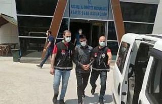 100 bin TL değerinde ziynet eşya ve döviz çaldılar