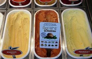 10 bitkiden üretilen ’Anti-Vrs’ dondurma Bodrum’da...