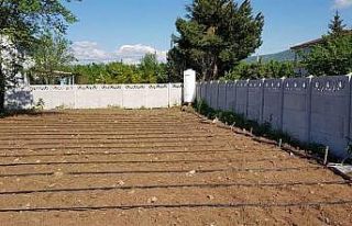 118 bahçede uygulamalı projelerin dikimleri başladı